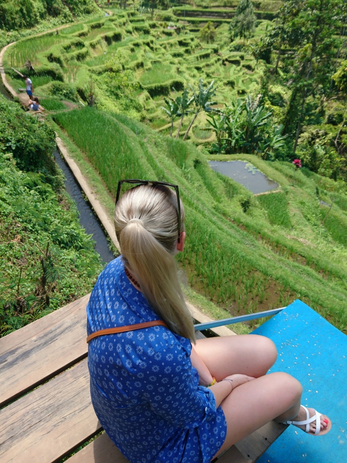 Bali ryžové polia Tegallalang