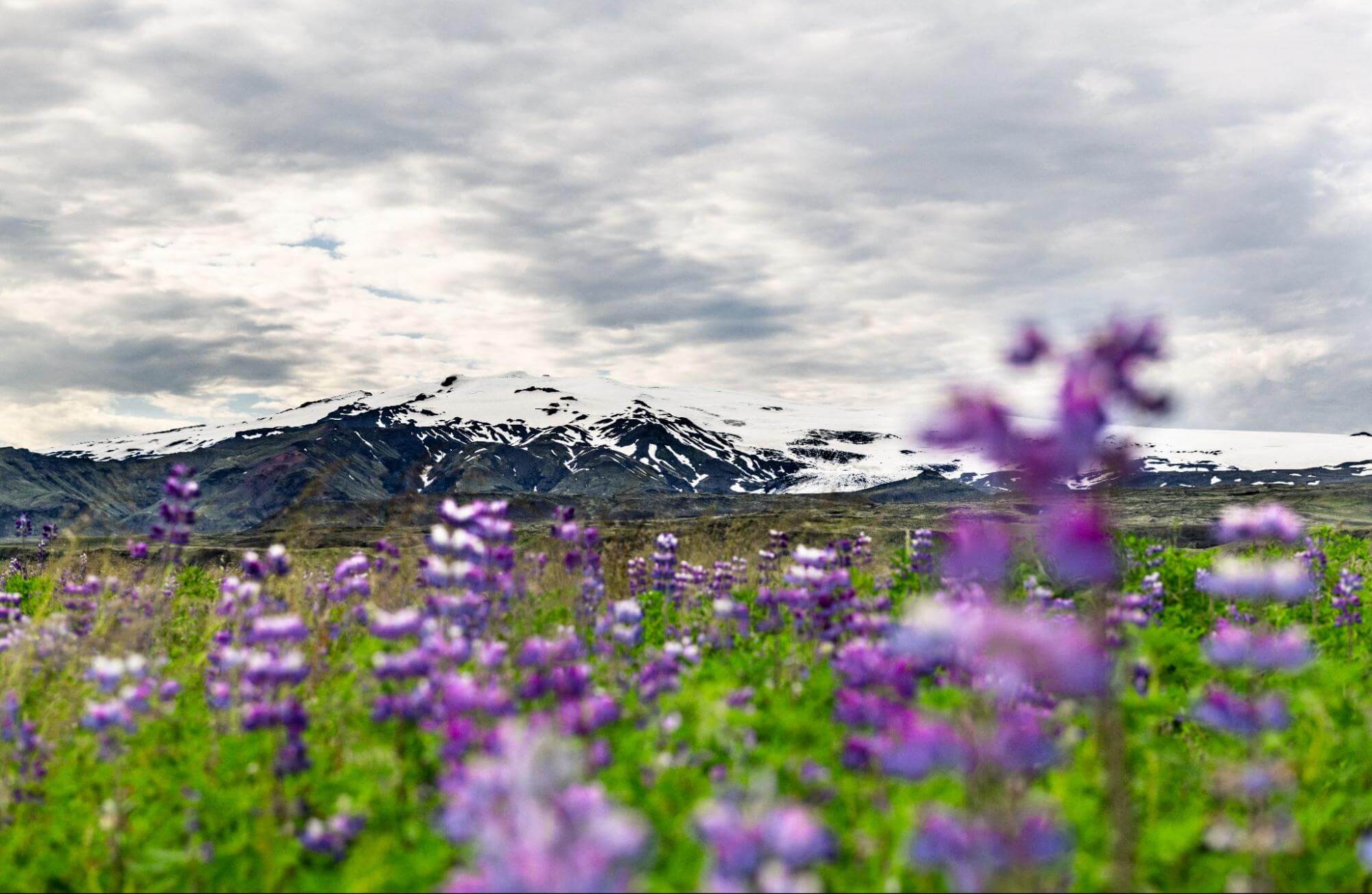 Sopka Eyjafjallajökull