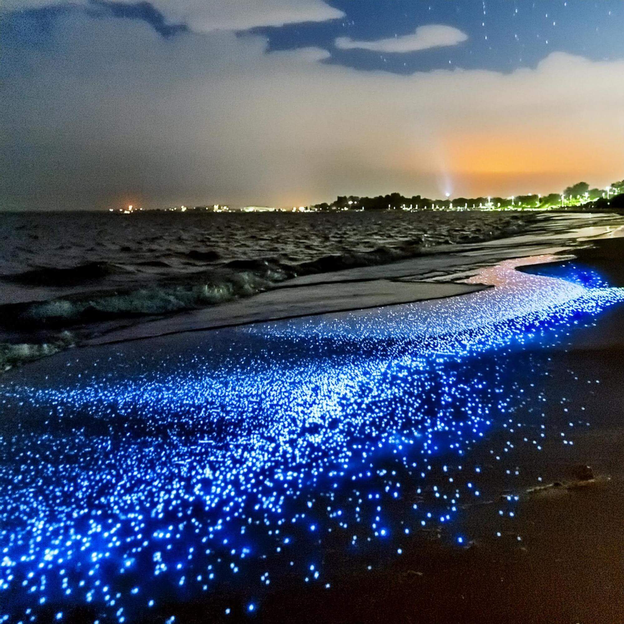 Sea of stars Maldivy