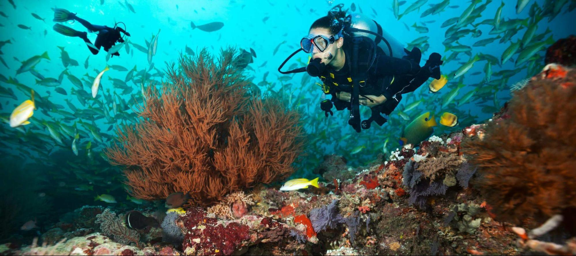 potápanie RIU Atoll