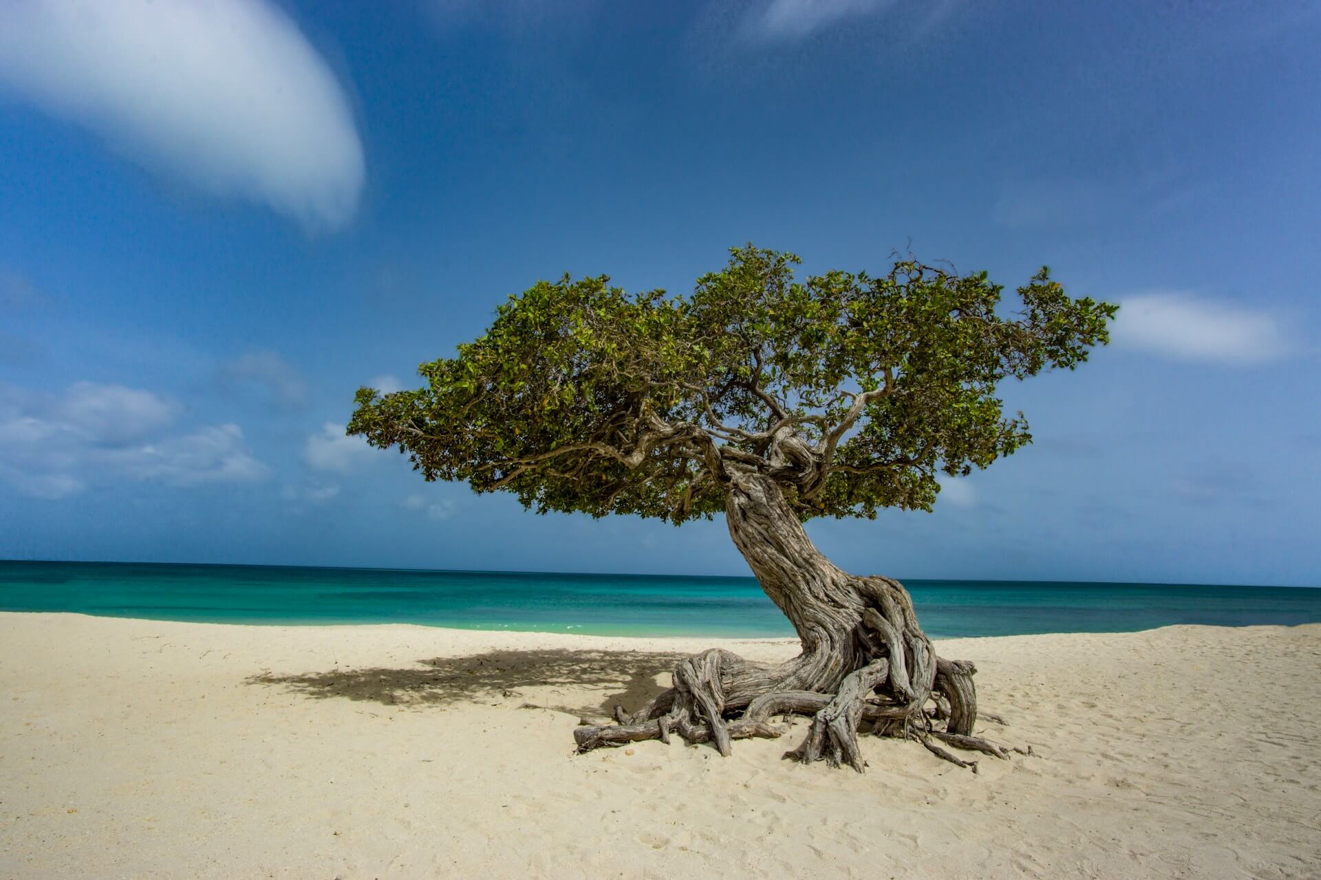 Aruba-Kuba