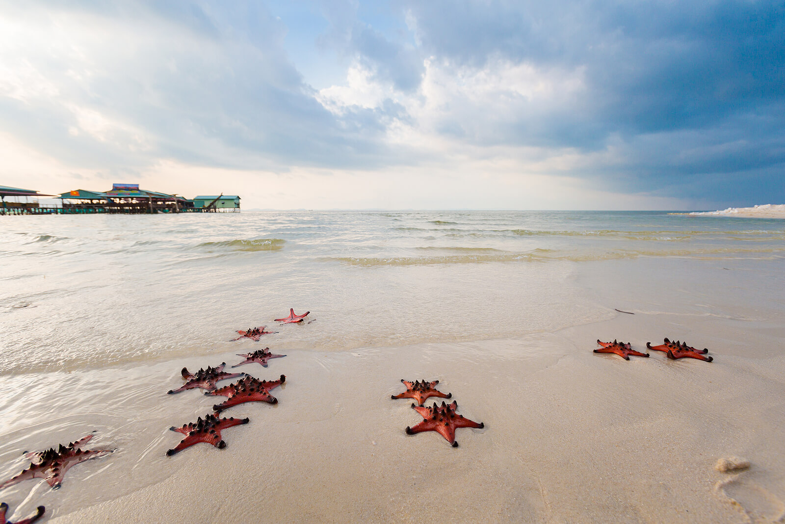 Starfish Phu Quoc